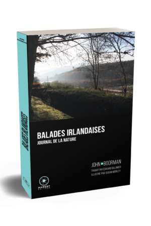 Balades irlandaises de John Boorman